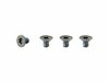 Trek Fastener Trek E-Cal 29 2021 Motor Armor M4x0.7x6mm