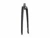 Trek Fork Rigid Trek-Diamant 700x45 Carbon Thru-Skw GLT