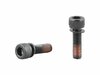 Trek Fastener Trek Bolt M6 x 1.0 x 20mm Black Each