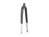 Trek Fork Rigid Domane AL2 53R Plasma Grey Pearl/Carbon